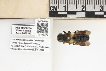 Media type: image;   Entomology 799270 Aspect: labels